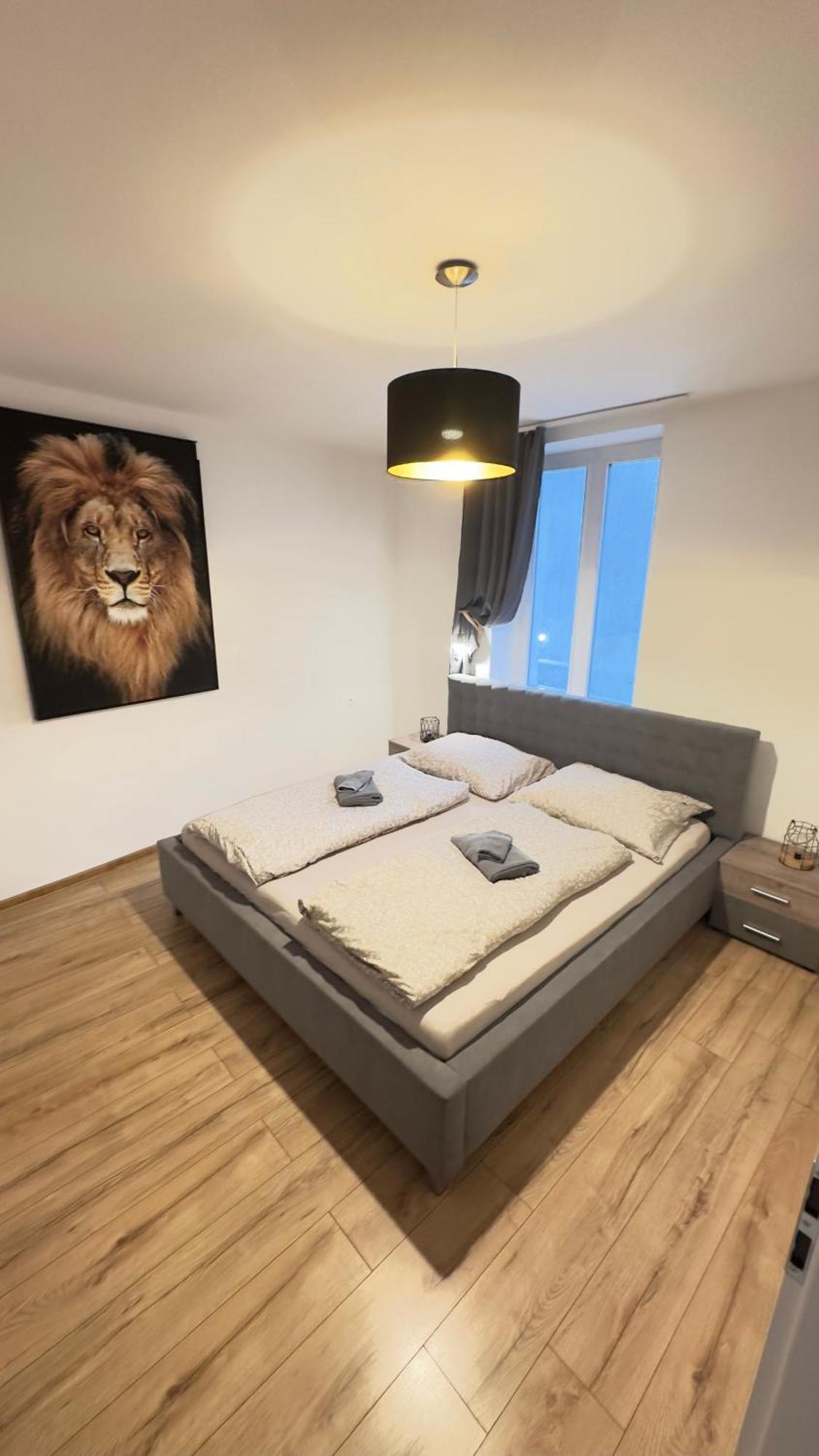 Apartman Vita Deluxe Trenčín Eksteriør billede